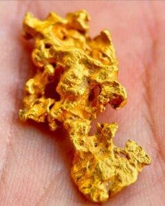 Gold TRANS AFRICA CONTAINERS MINING SARLU